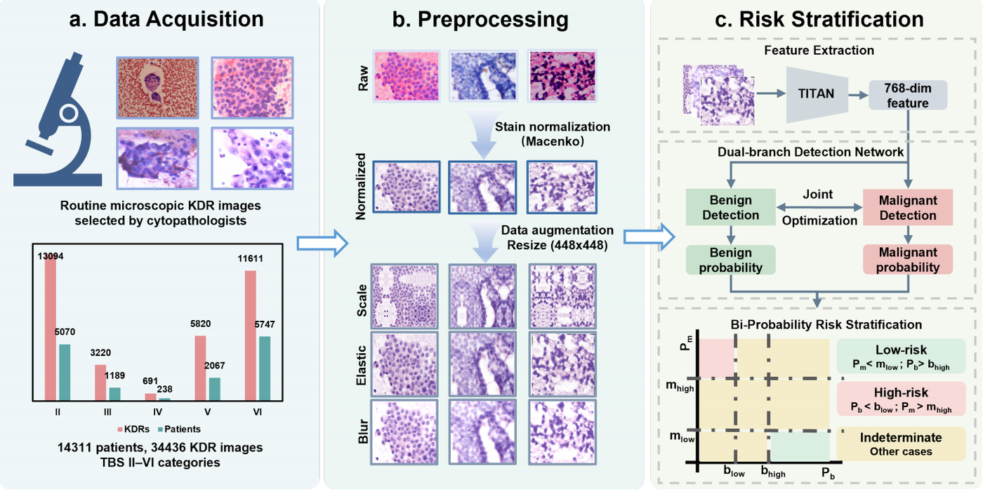 Pathology foundation model framework for thyroid FNA risk stratification