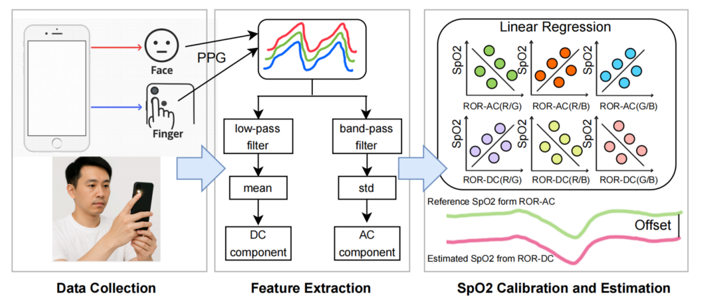 Smartphone PPG SpO2 calibration and estimation framework