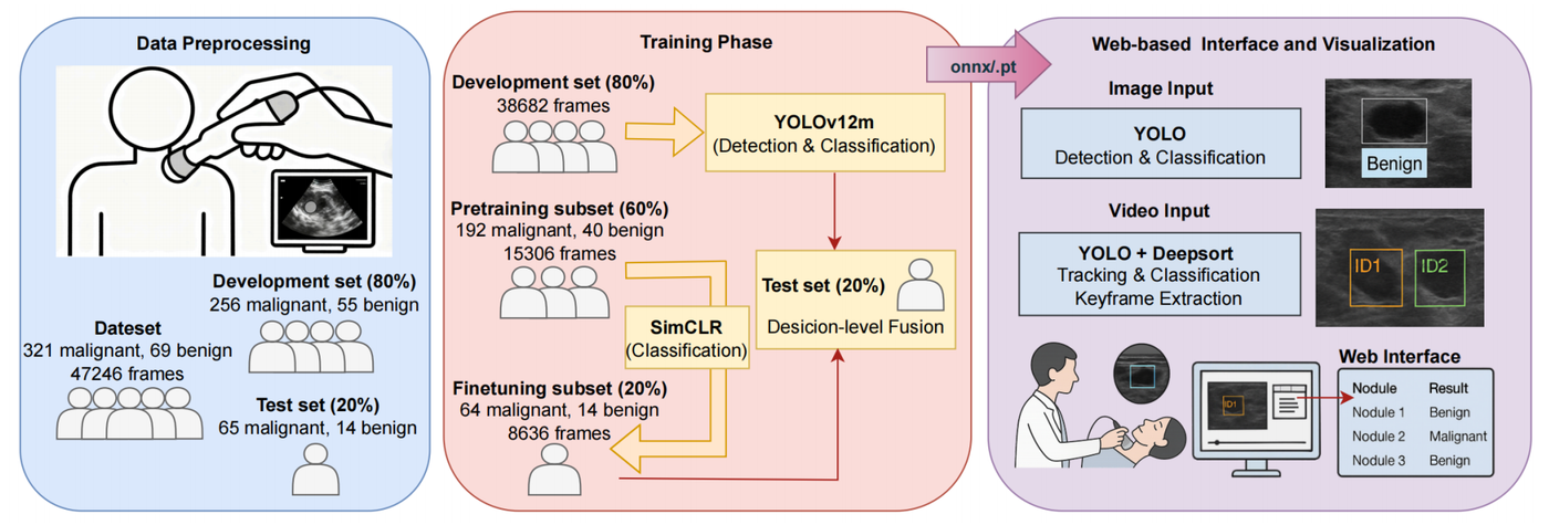 Overall framework of the ultrasound thyroid nodule detection and classification system